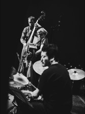 avec le Niepold Trio, photo Lieve Boussauw